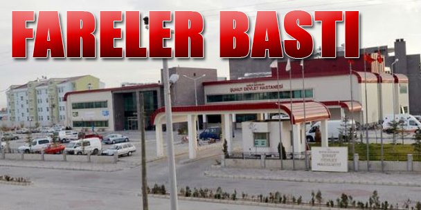FARELER BASTI